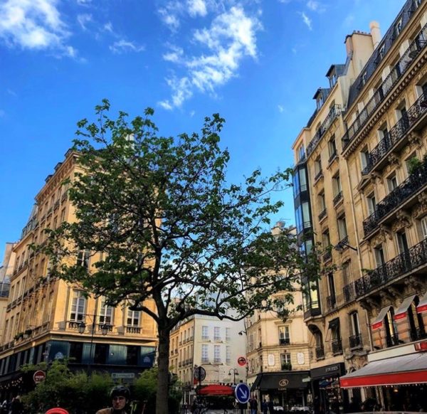 Streets and Stories: Rue de l’Odéon in Saint-Germain-des-Prés | Bonjour ...