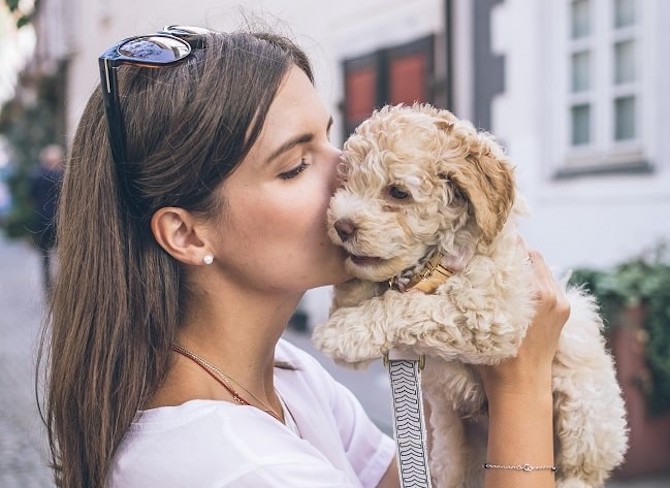 can dogs travel on paris metro