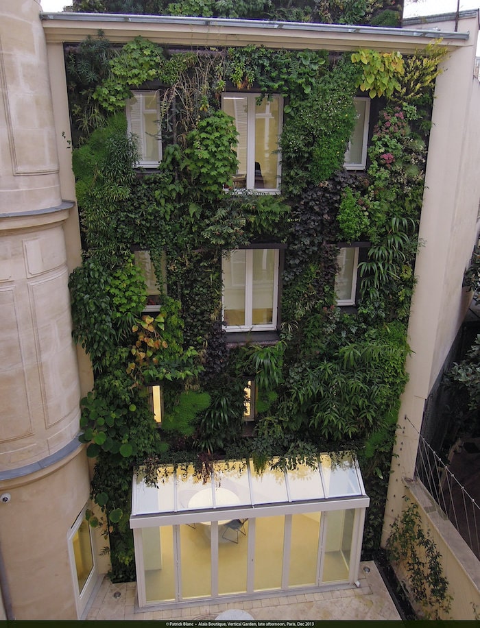 Alaia Boutique vertical garden, Patrick Blanc