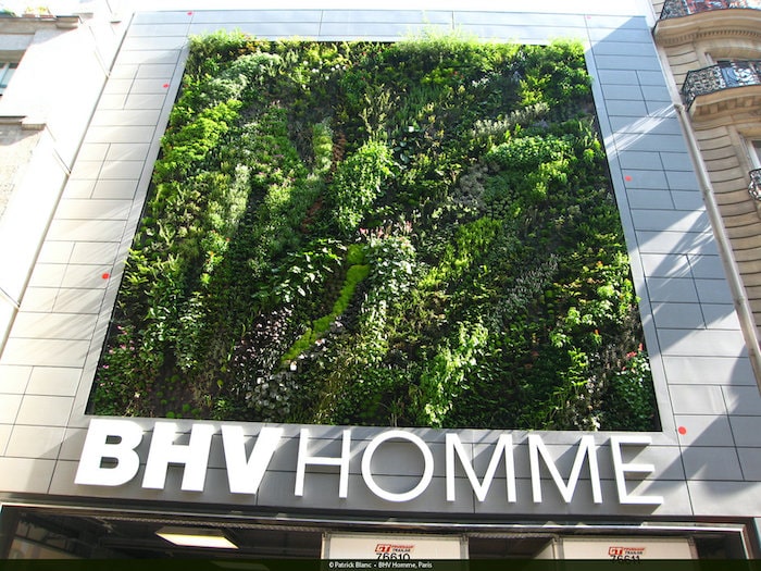 BHV Homme, Paris by Patrick Blanc