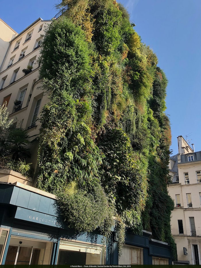 oasis-daboukir-vertical-garden-patrick-blanc