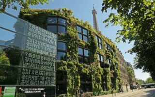 Renowned Paris Botanist Grows Up: The Vertical Gardens of Patrick Blanc