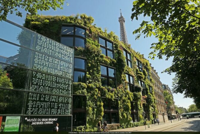 Renowned Paris Botanist Grows Up: The Vertical Gardens of Patrick Blanc