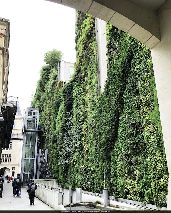 Vertical garden, Patrick Blanc