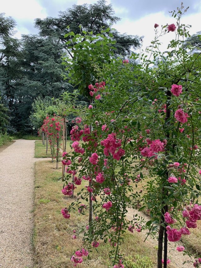Jardins Albert Kahn