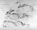 Jane Poupelet, Rabbits, 1925 Met Museum