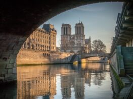 Notre-Dame Restoration: The Greening of the Cathed...