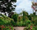 The floral art garden