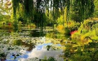 Letter from Paris: March 3, 2021 News Digest