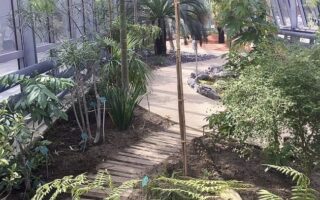 Tennis and Tropics: Roland Garros and the Auteuil Greenhouses