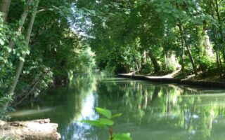 Discovering the Hidden Islands of Créteil