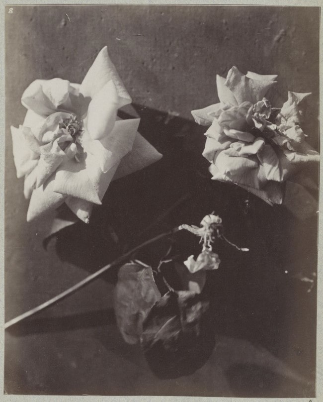 Abstraction in Early French Photography