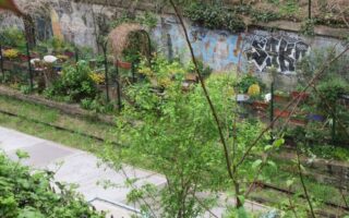 Discover the Petite Ceinture: The Forgotten Railway in Paris