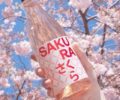 Sakura sake from Wakaze.