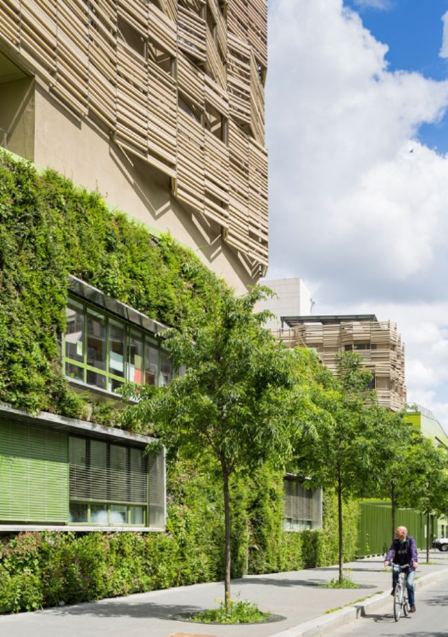 Clichy-Batignolles develoment. A school with a carbon capturing green wall