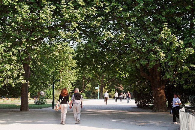 Jardin des plantes à Paris