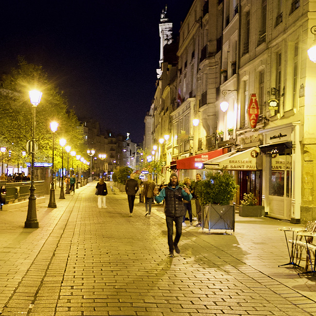 Le marais au nuit