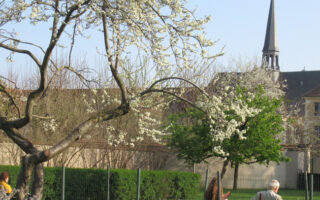 In Search of Hidden Green Spaces in Paris
