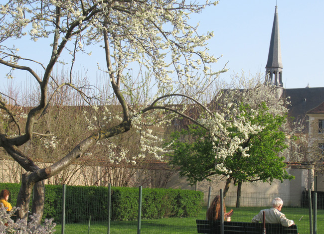 In Search of Hidden Green Spaces in Paris