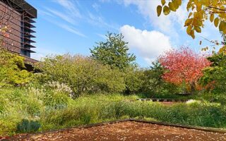 Summer Garden 2022 at the Musée du Quai Branly