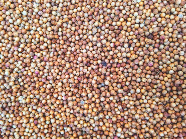 Mustard seeds