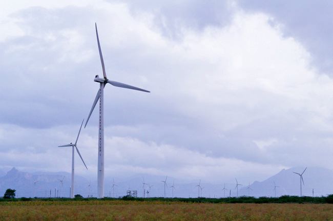 Windmills on a field