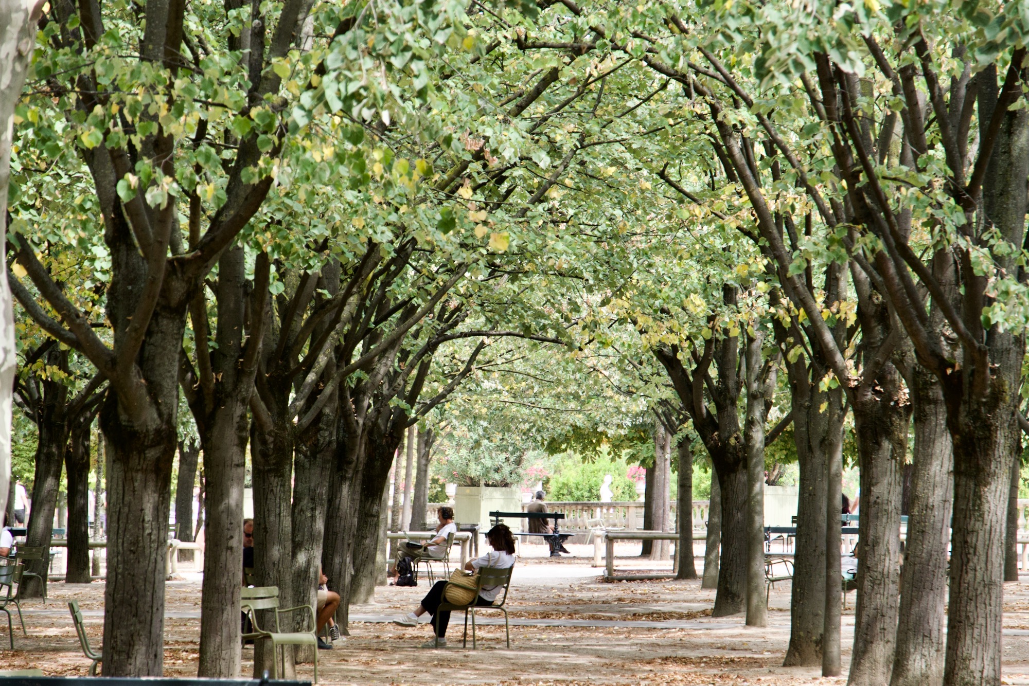 A woman sat in a tree tunnel