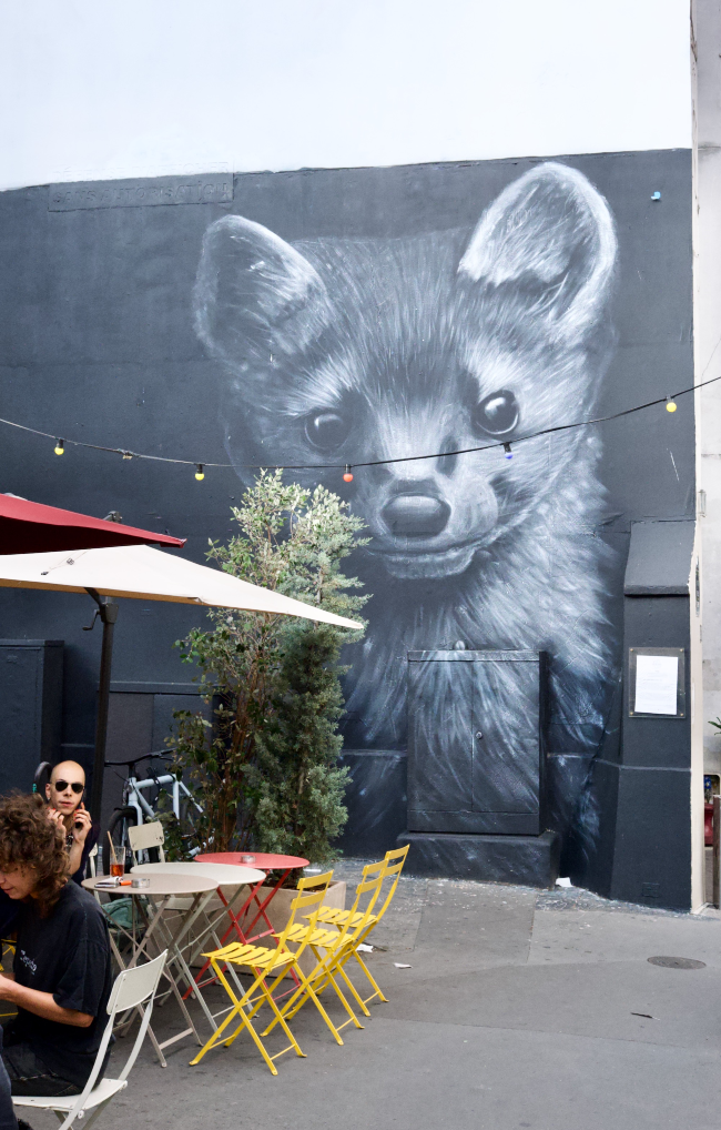 A wall painting of a Ferret in a cafe seating area