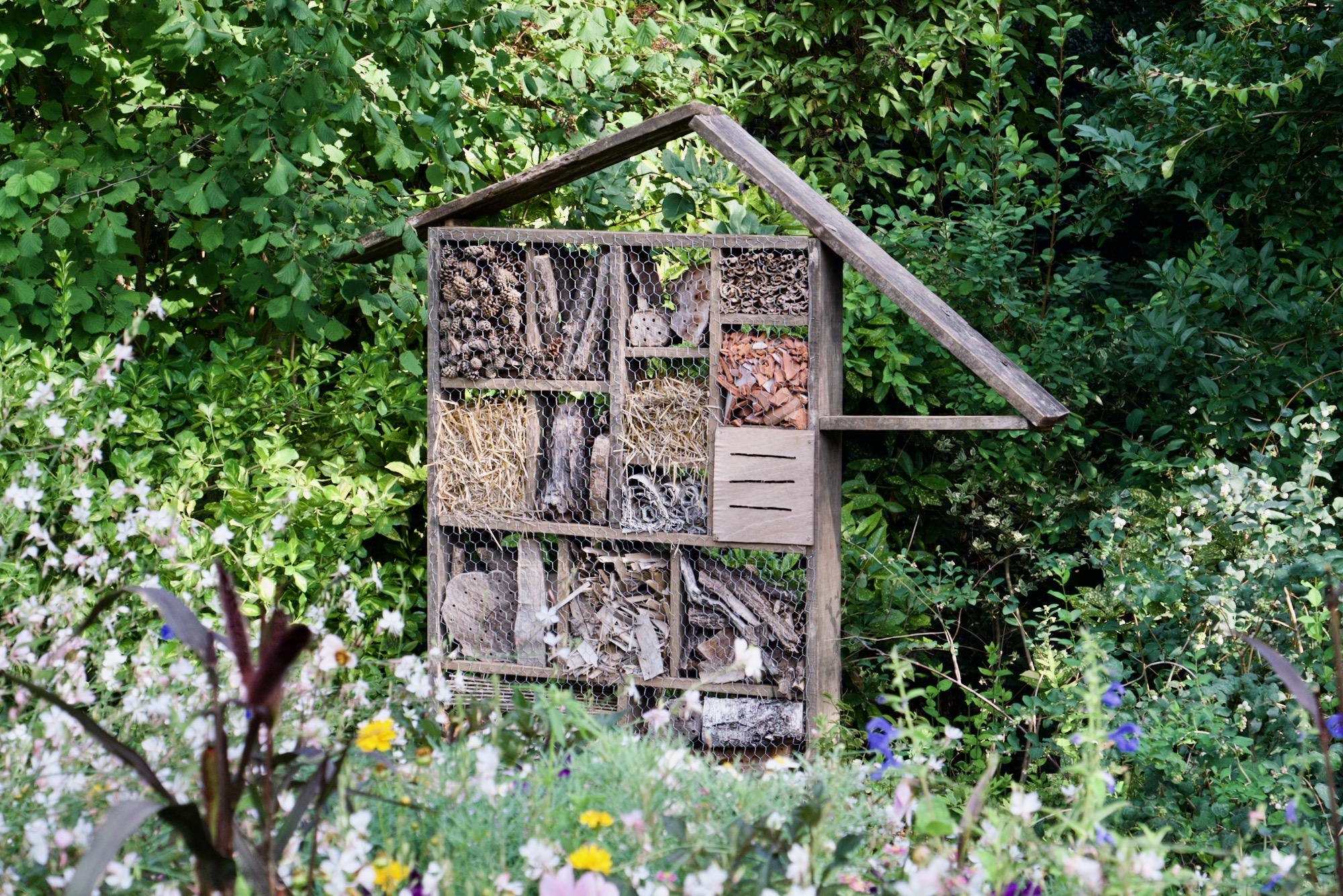 A homemade insect house