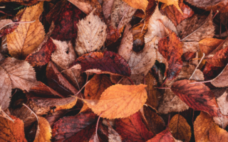 7 Places to Find Autumn Colors in Paris