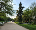 Champs Elysees garden