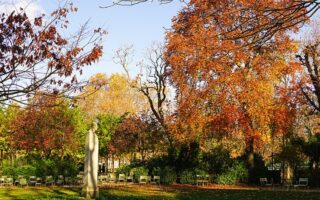 Letter from Paris: November 8, 2023 News Digest