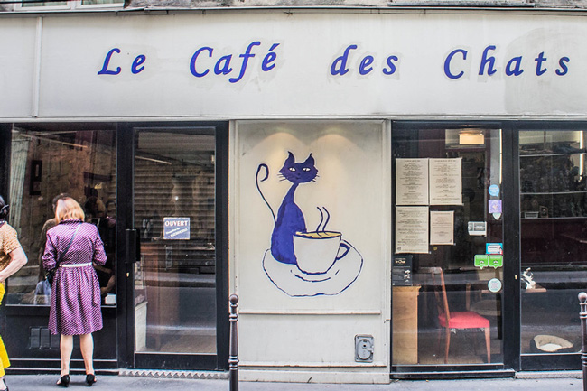 The front of Le Cafe des Chats