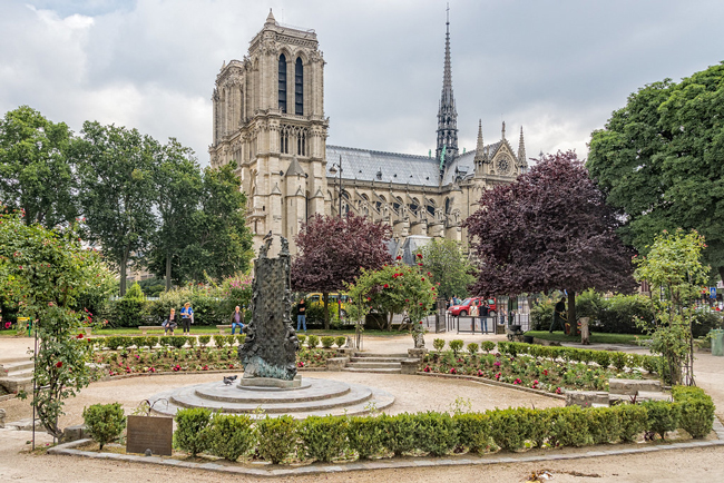 Square René Viviani with a view of the Notre-Dame