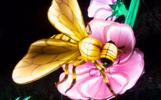 The Magical “Mini Mondes” Light Festival in the Jardin des Plantes