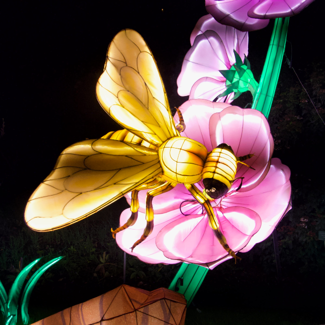 The Magical “Mini Mondes” Light Festival in the Jardin des Plantes