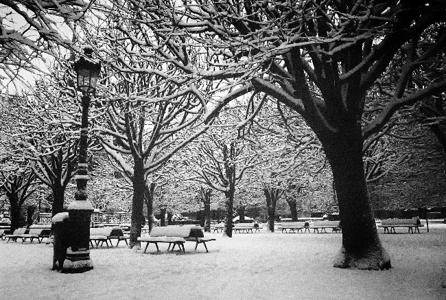 Poppy in Paris: The Best of Winter in the City