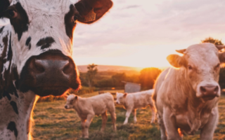 Letter from Paris: March 8, 2023 News Digest