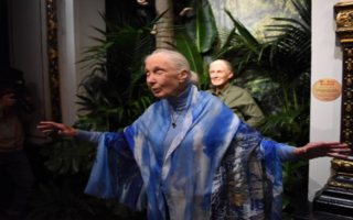 Double Inspiration: Jane Goodall in Paris (Two of Her!)