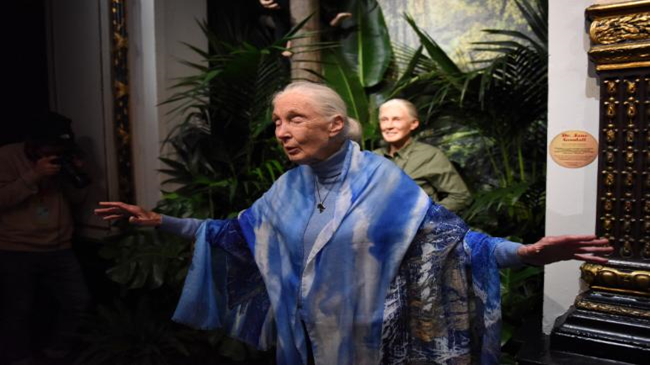 Double Inspiration: Jane Goodall in Paris (Two of Her!)