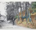Postcard showing location of Tree Roots. Van Gogh Museum