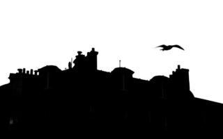 Paris Vignettes: The City’s Birds