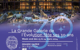 The Grande Galerie de l’Évolution Fetes 30 Years