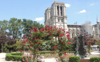 The Miracle of Notre Dame’s Restoration