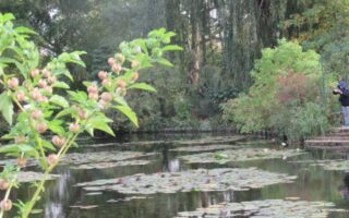 Flânerie in Claude Monet’s Giverny Gardens