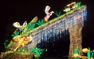 Get Wowed at the Light Festival in the Jardin des Plantes