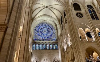 The Thrilling Renaissance of Notre Dame