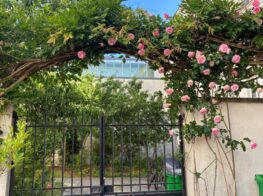 Belleville Open Studios: A Rare Opportunity to Mee...
