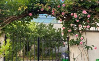 Belleville Open Studios: A Rare Opportunity to Meet Artists in Paris