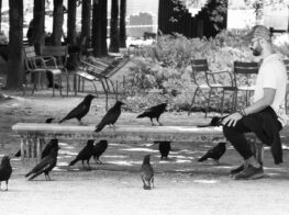 Sitting Around in Paris...